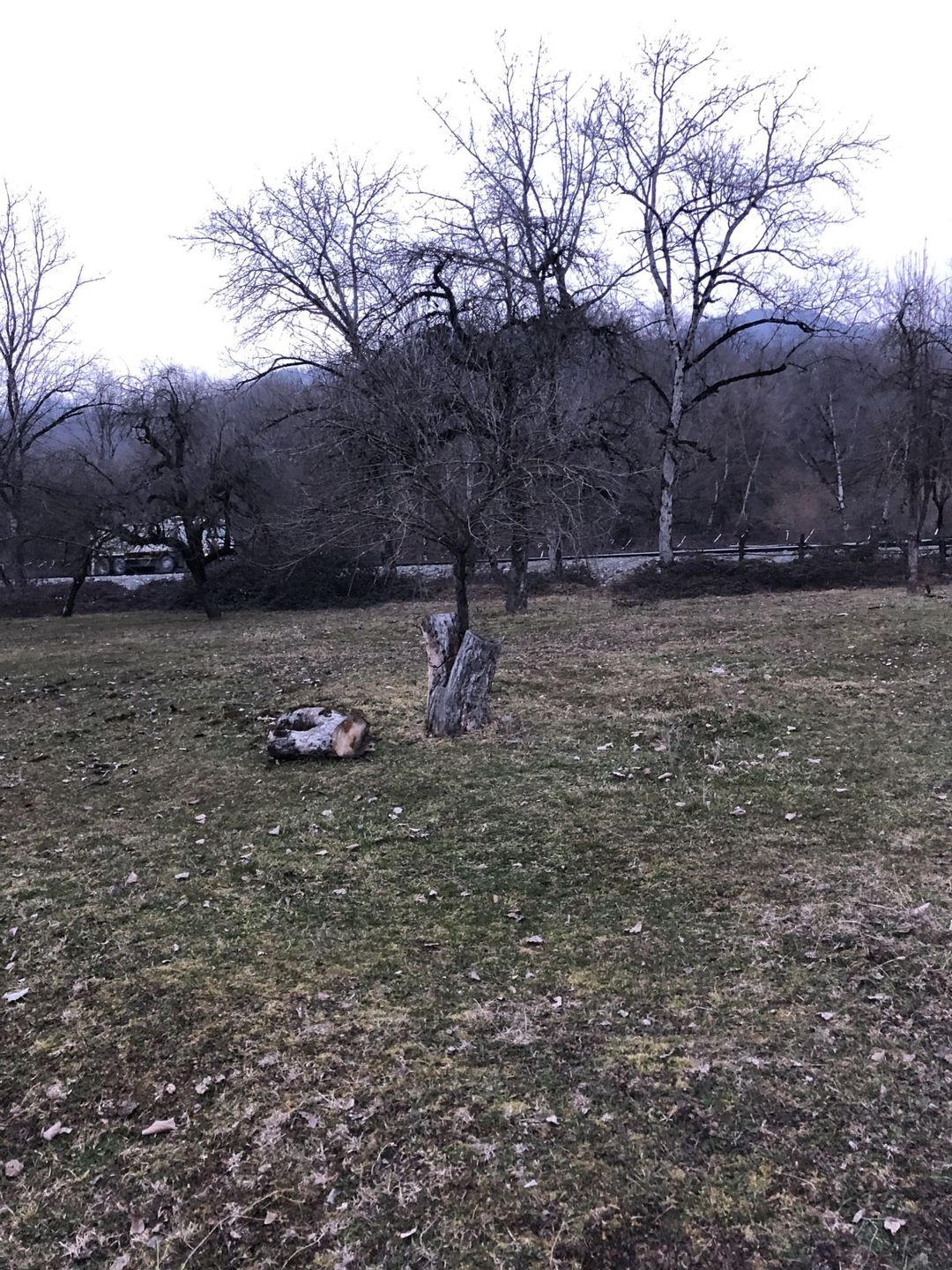 20 sot torpaq sahəsi, Qəbələ ş — Torpaq, Qəbələ (4)