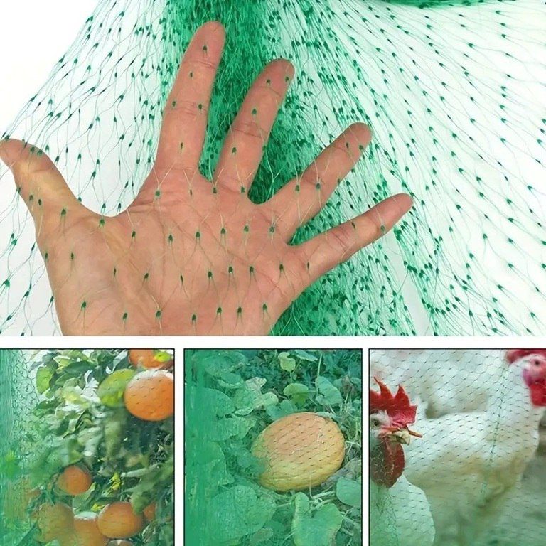 Bitkiləri qoruma torları — Bitkilər, Bakı (3)