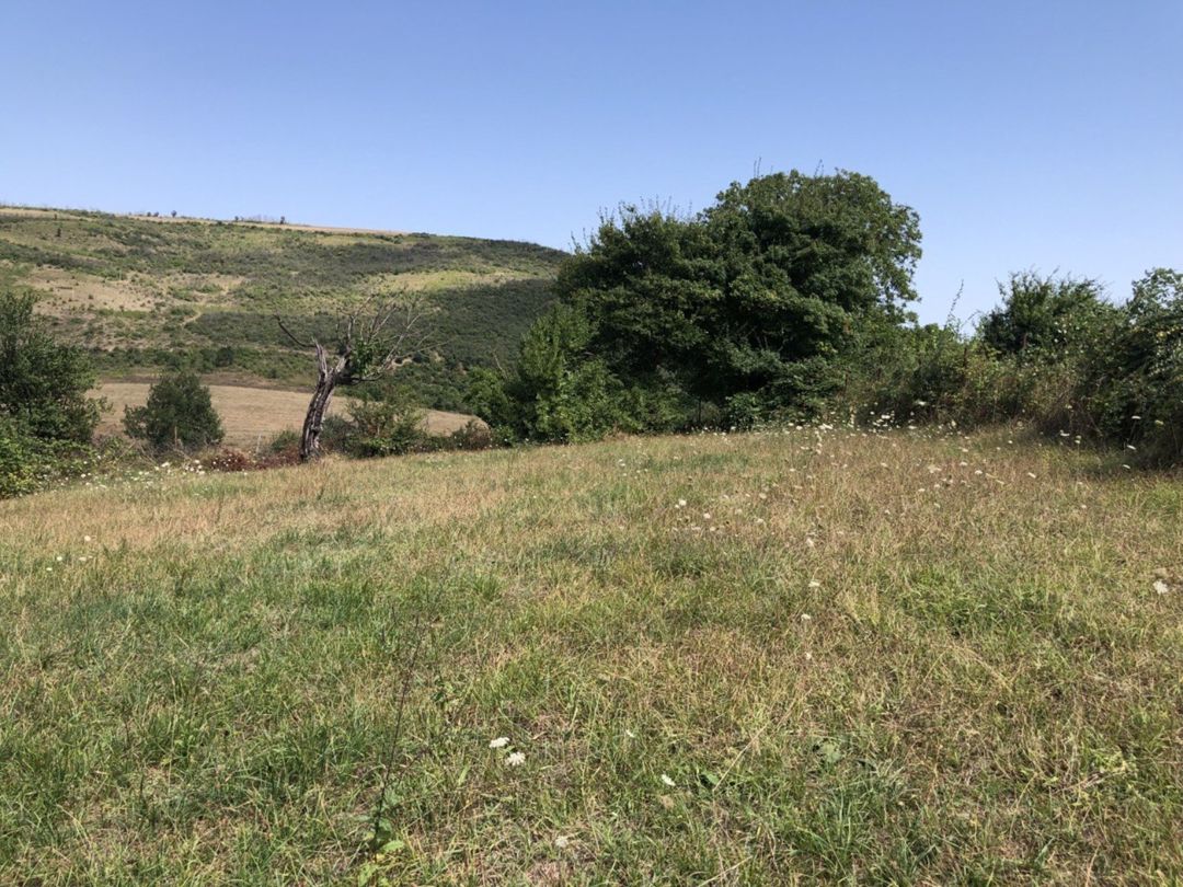 22 sot torpaq sahəsi, Şabran r — Torpaq, Şabran (5)