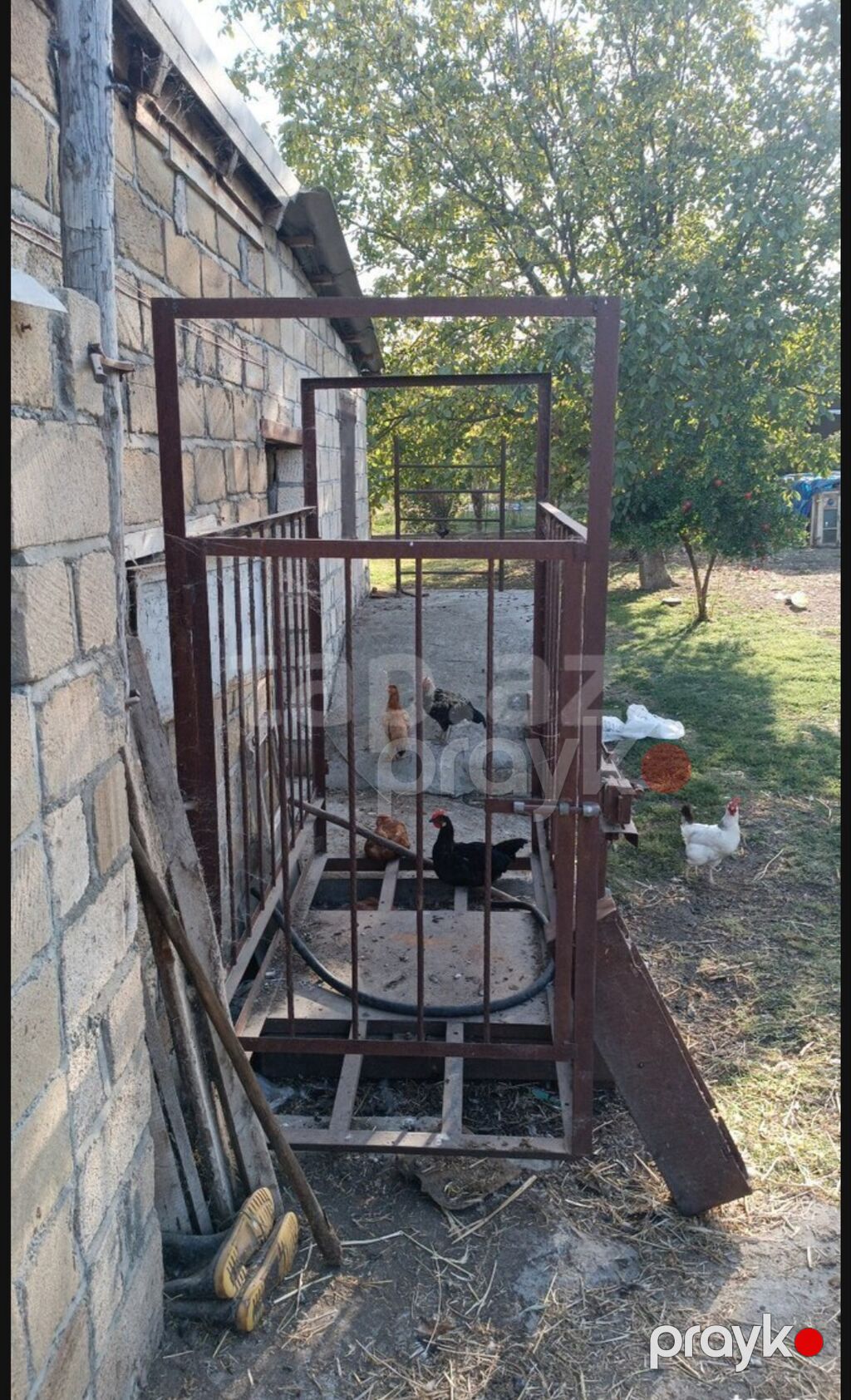 Metal mal və inək çəkmək üçün tərəzi - İstiqlal dəmirdən yığılmış — Digər, Bərdə