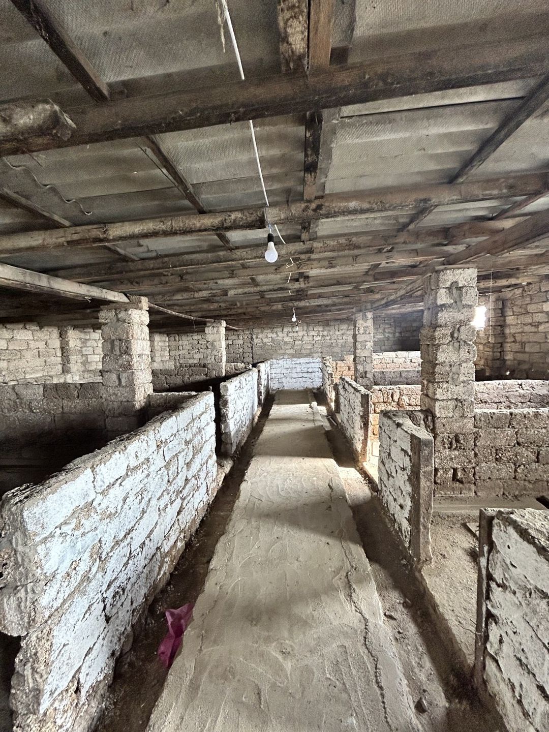 İcarəyə verilir obyekt 2500 m² — Əmlak, Bakı (4)