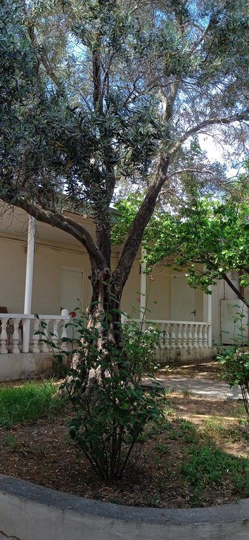 Satılır 5 otaqlı həyət evi/bağ evi 258 m² — Ev, villa, Bakı (2)
