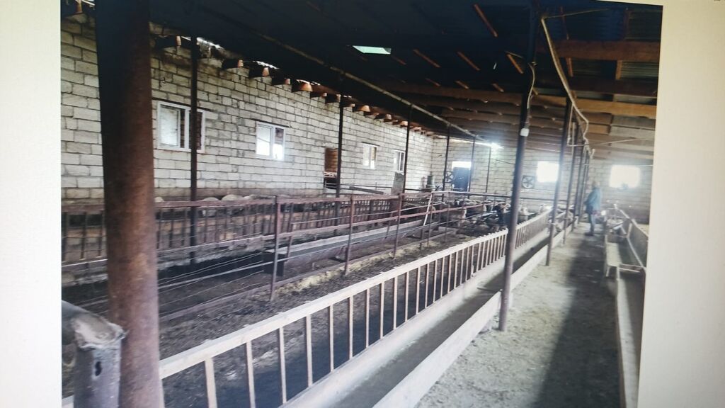 Ferma hazır ıstıfadeye yararlı hec bır xerc teleb etmır umumılıkde 4 — Əmlak, Kürdəmir (5)