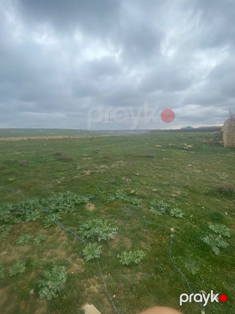 Torpaq sahəsi, 20 sot, Kənd təsərrüfatı təyinatlı, Çıxarışlı, Abseron r. Novxani qəs., Abşeron