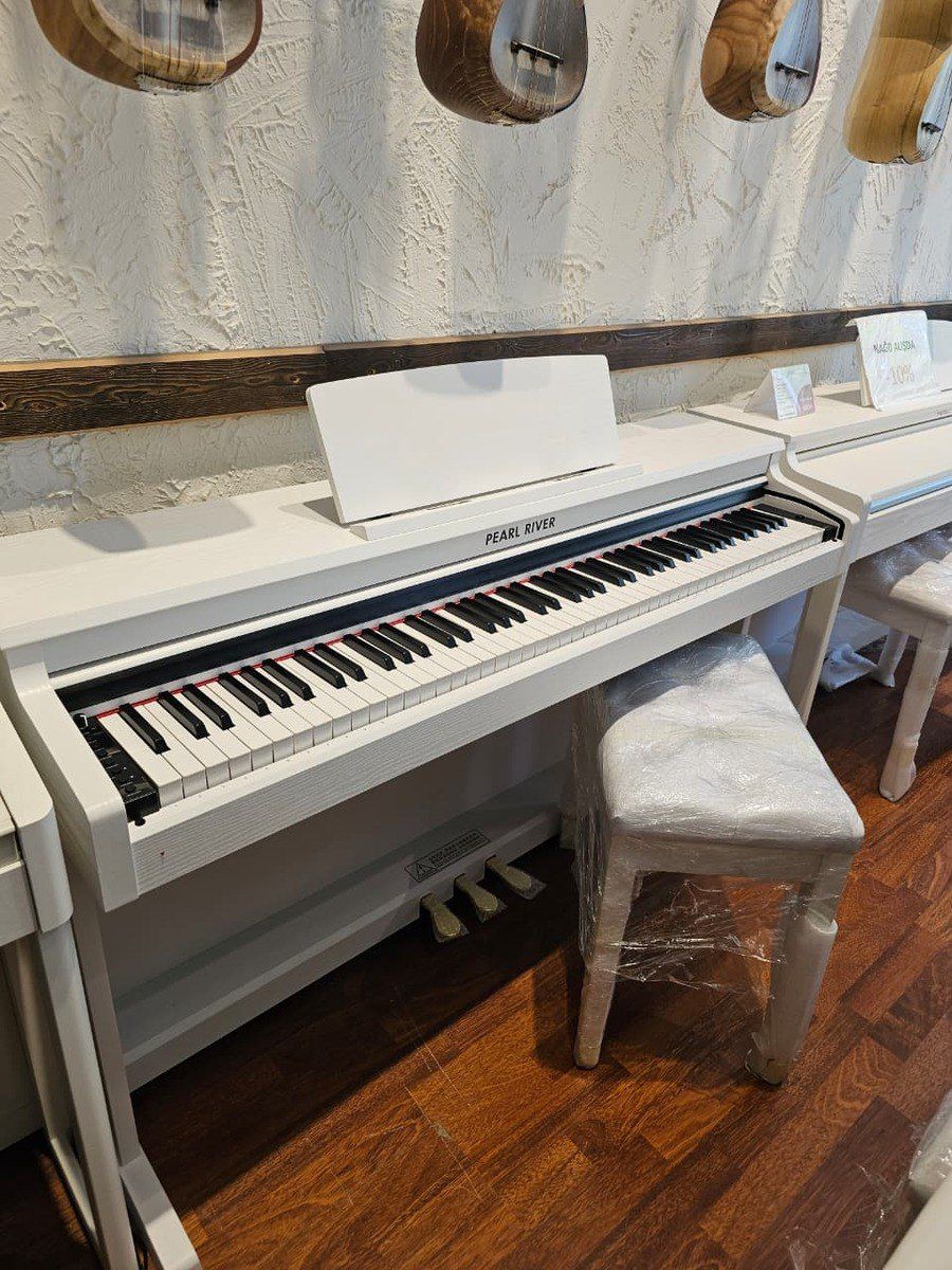 Pearl River v-03 PRO — Musiqiə alətləri, Bakı (4)