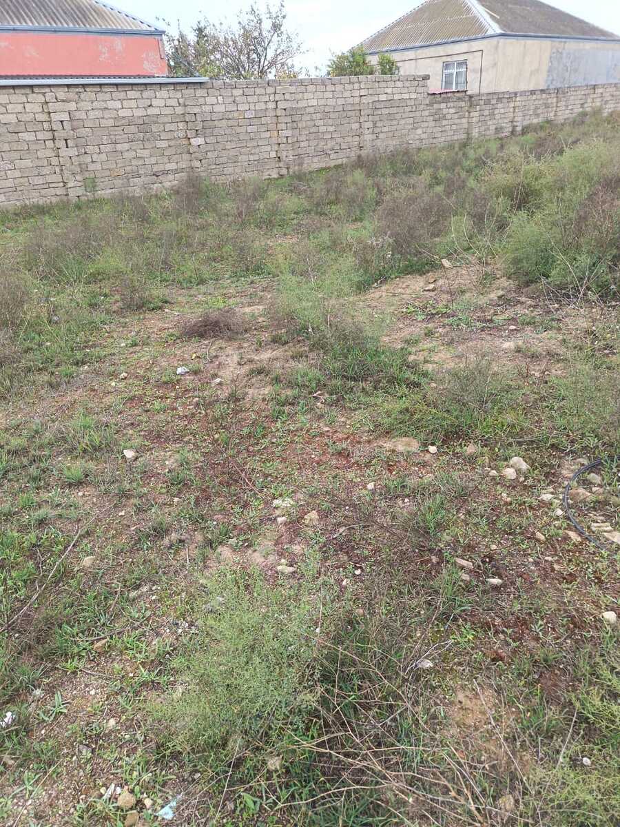 3 sot torpaq sahəsi, Buzovna qəs — Torpaq, Bakı (4)
