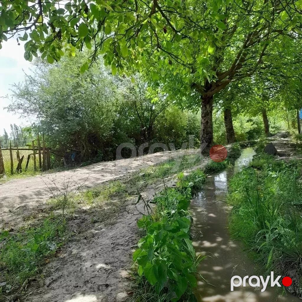 Qusarin kendi 10 km araligda panaramali yerdi deyerinden aṣagi — Qida məhsulları, Qusar (5)
