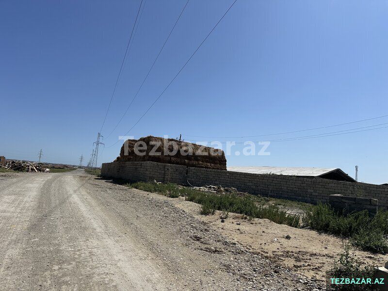 4-hektar Torpaq — Torpaq, Bakı (5)