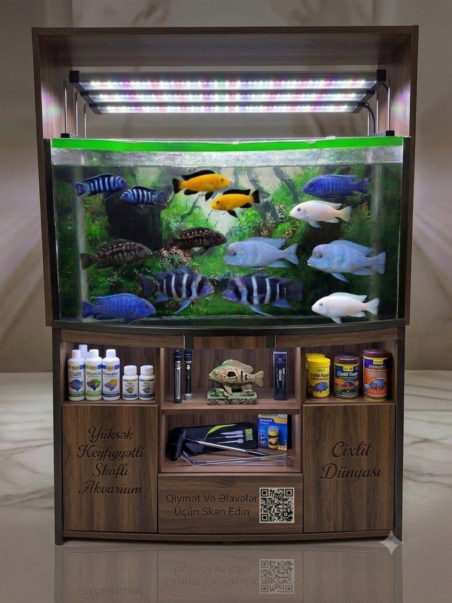 Akvarium — Akvariumlar və balıqlar, Bakı (3)