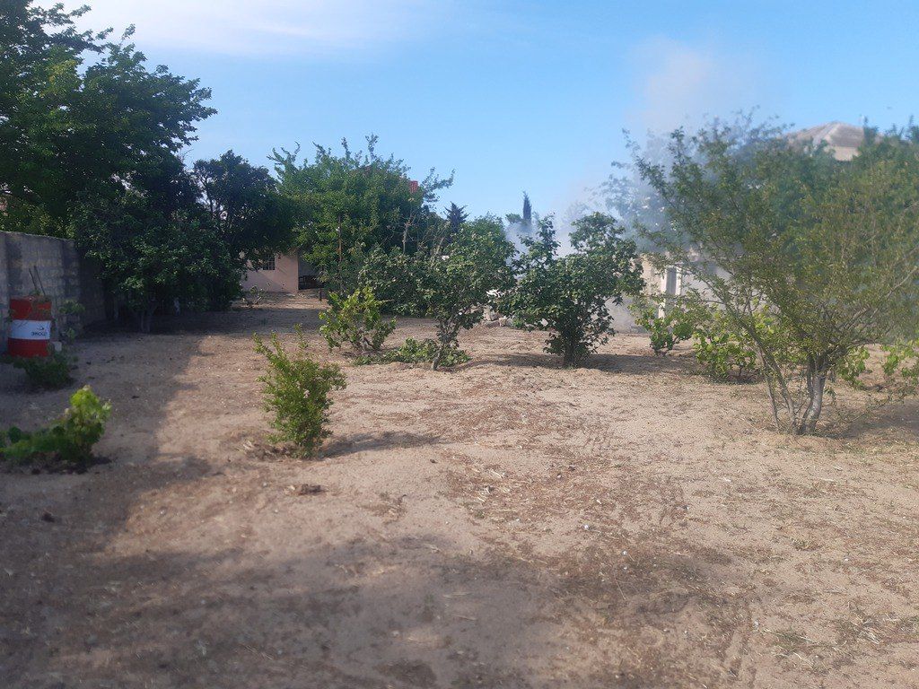 Satılır torpaq 25 sot — Torpaq, Bakı (5)