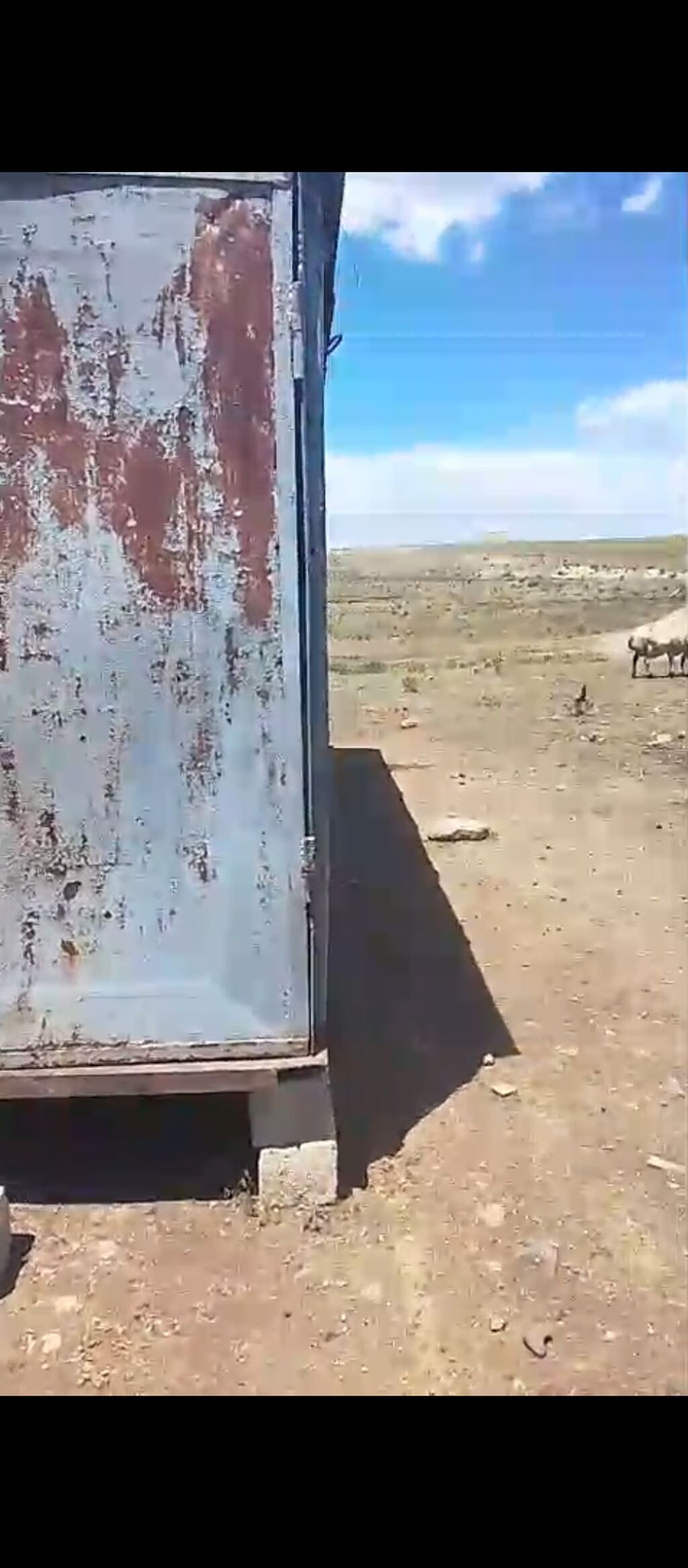 Metal konteyner/vaqon ev - Material: qalın metaldan yığma, kənarları — Hazır konstruksiyalar, Gəncə (2)