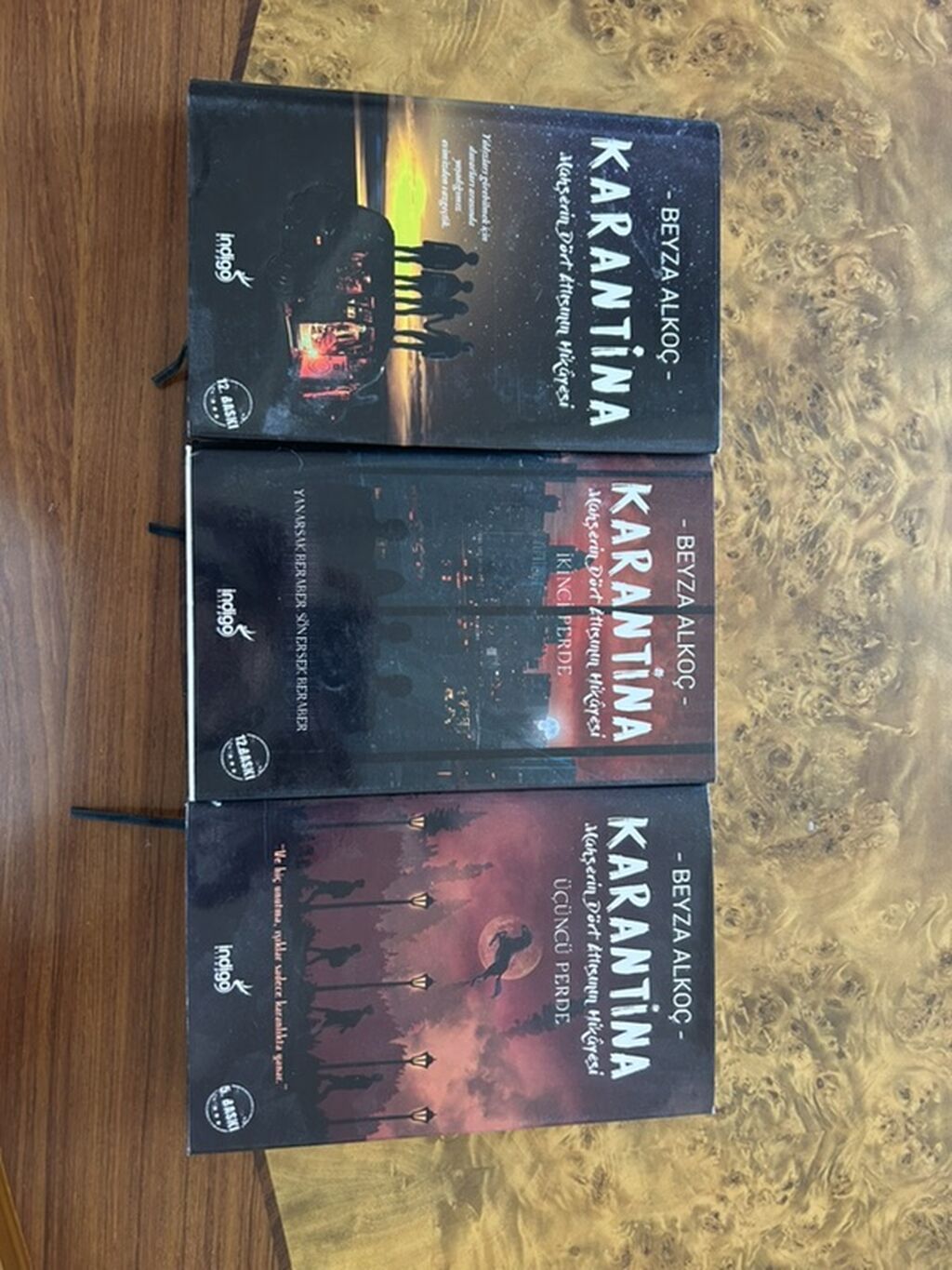 Karantina 3 Kitab Beyza Alkoç – “Karantina: Mahşerin Dörd Atlısının — Digər, Qobu (2)
