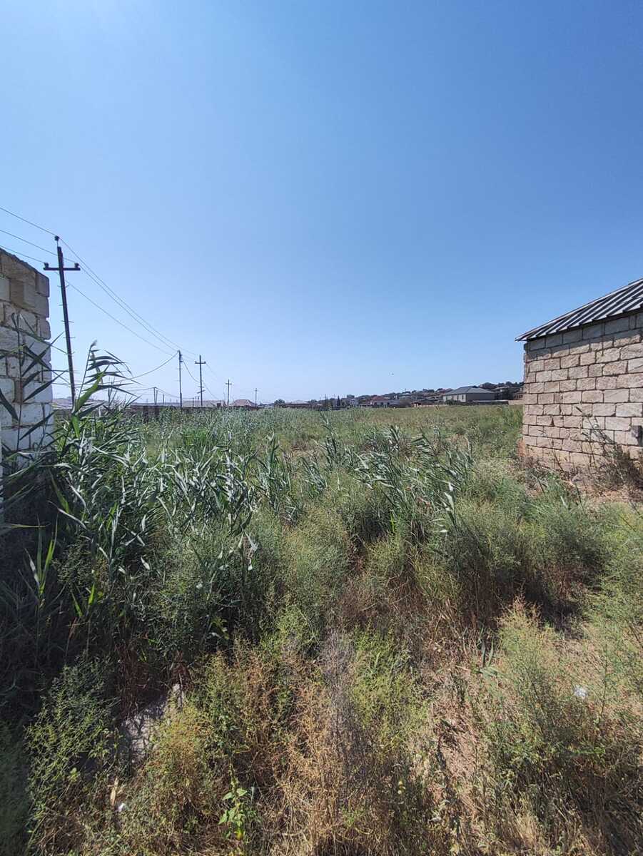 Satılır torpaq 2000 sot — Torpaq, Bakı (3)