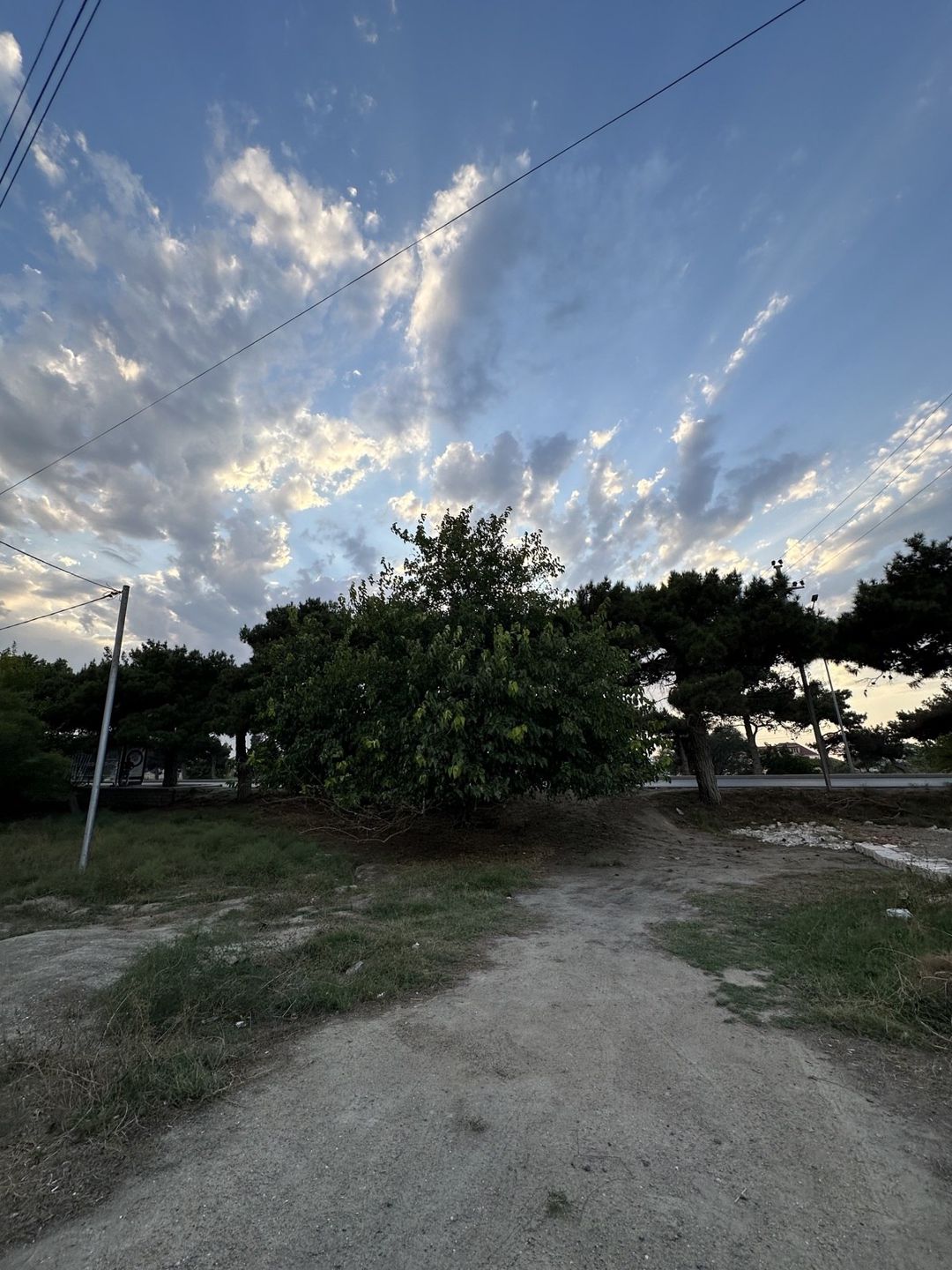 10 sot torpaq sahəsi, Maştağa qəs — Torpaq, Bakı (7)