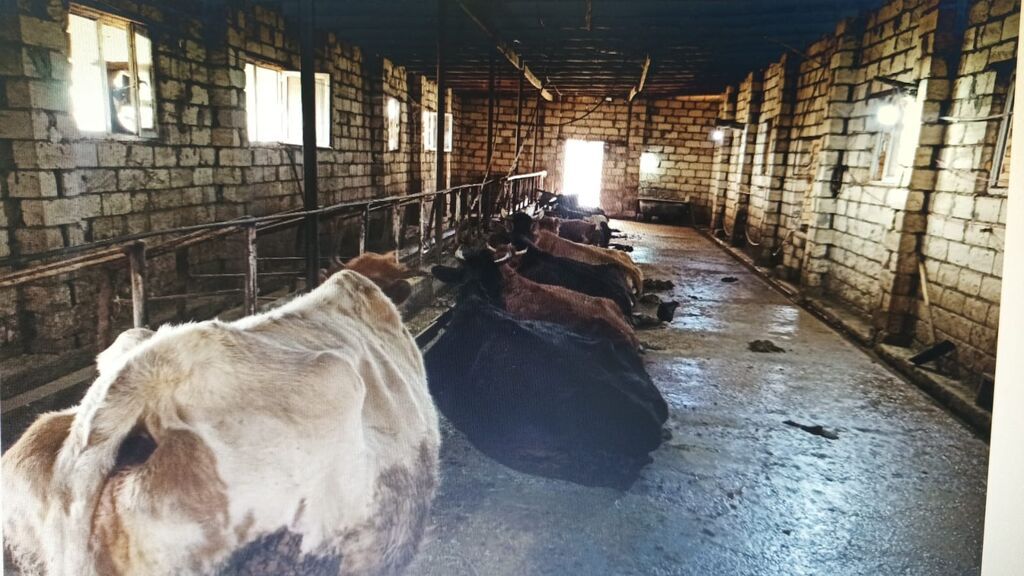 Ferma hazır ıstıfadeye yararlı hec bır xerc teleb etmır umumılıkde 4 — Əmlak, Kürdəmir (2)