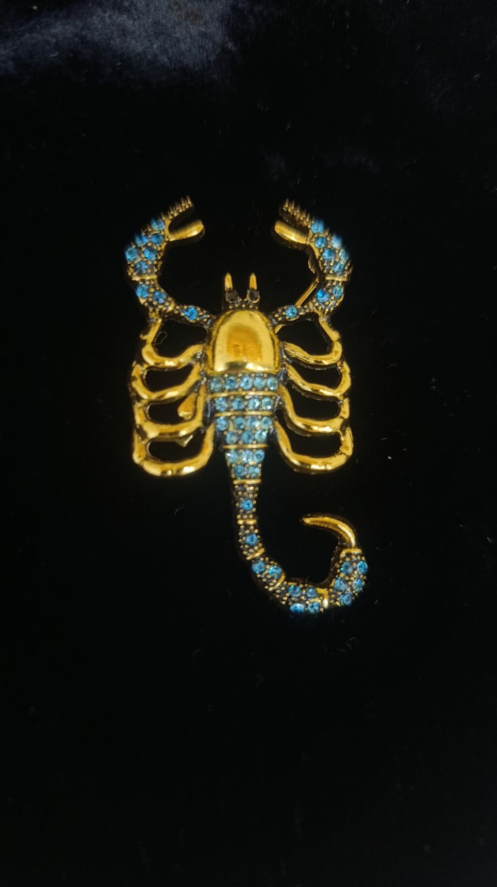 Skorpion formalı bəzək sancağı - Material: qızılı tonlu ərinti — Broş, Bakı (2)