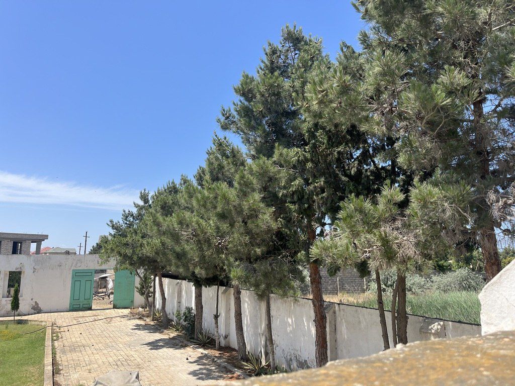 Satılır torpaq 15 sot — Torpaq, Bakı (7)