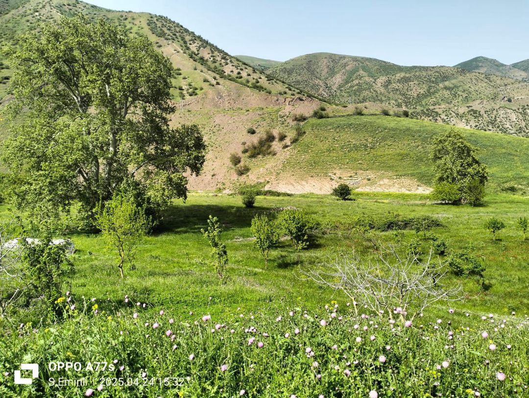Həyət evi, 5 hektar torpaq — Ev, villa, Yardımlı (2)