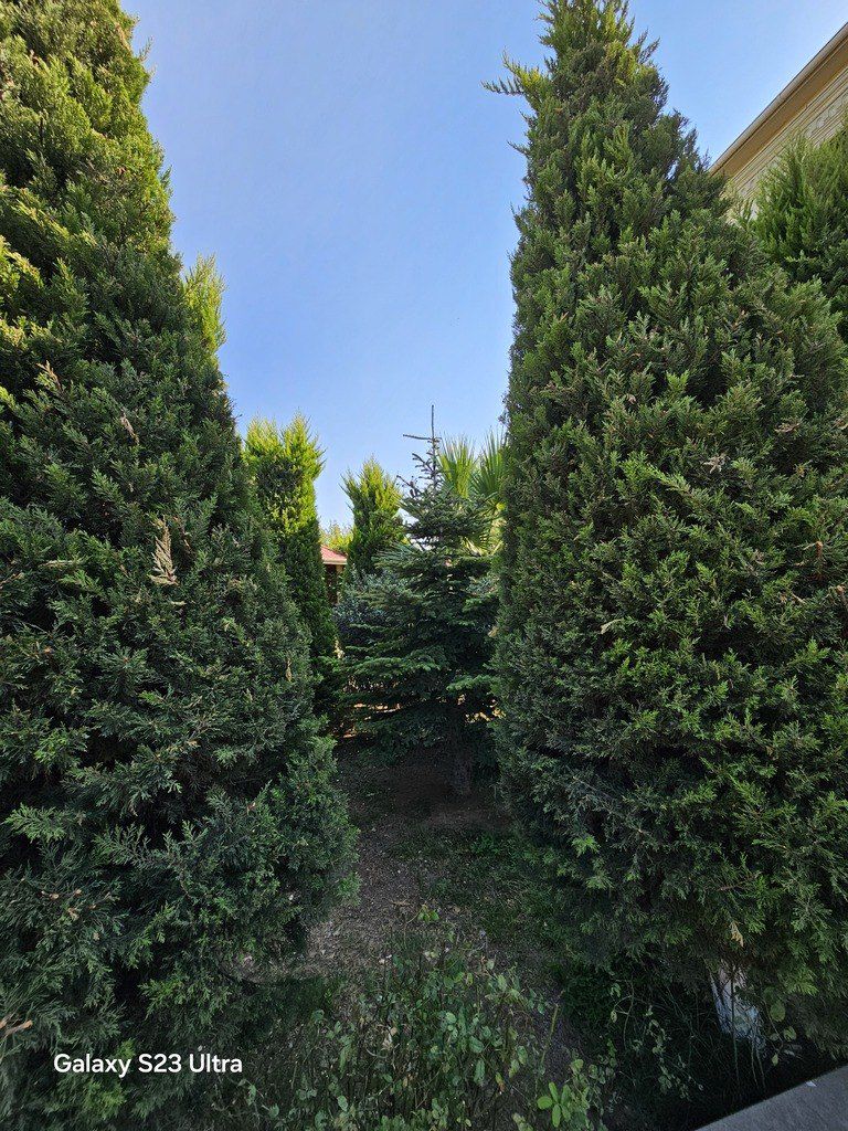 Satılır 8 otaqlı həyət evi/bağ evi 300 m² — Ev, villa, Bakı (6)