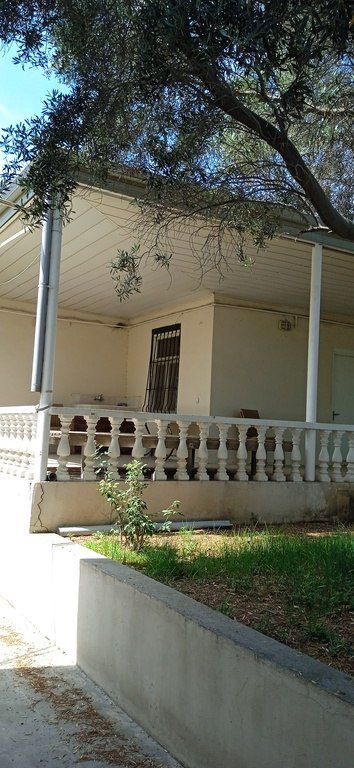 Satılır 5 otaqlı həyət evi/bağ evi 258 m² — Ev, villa, Bakı (3)