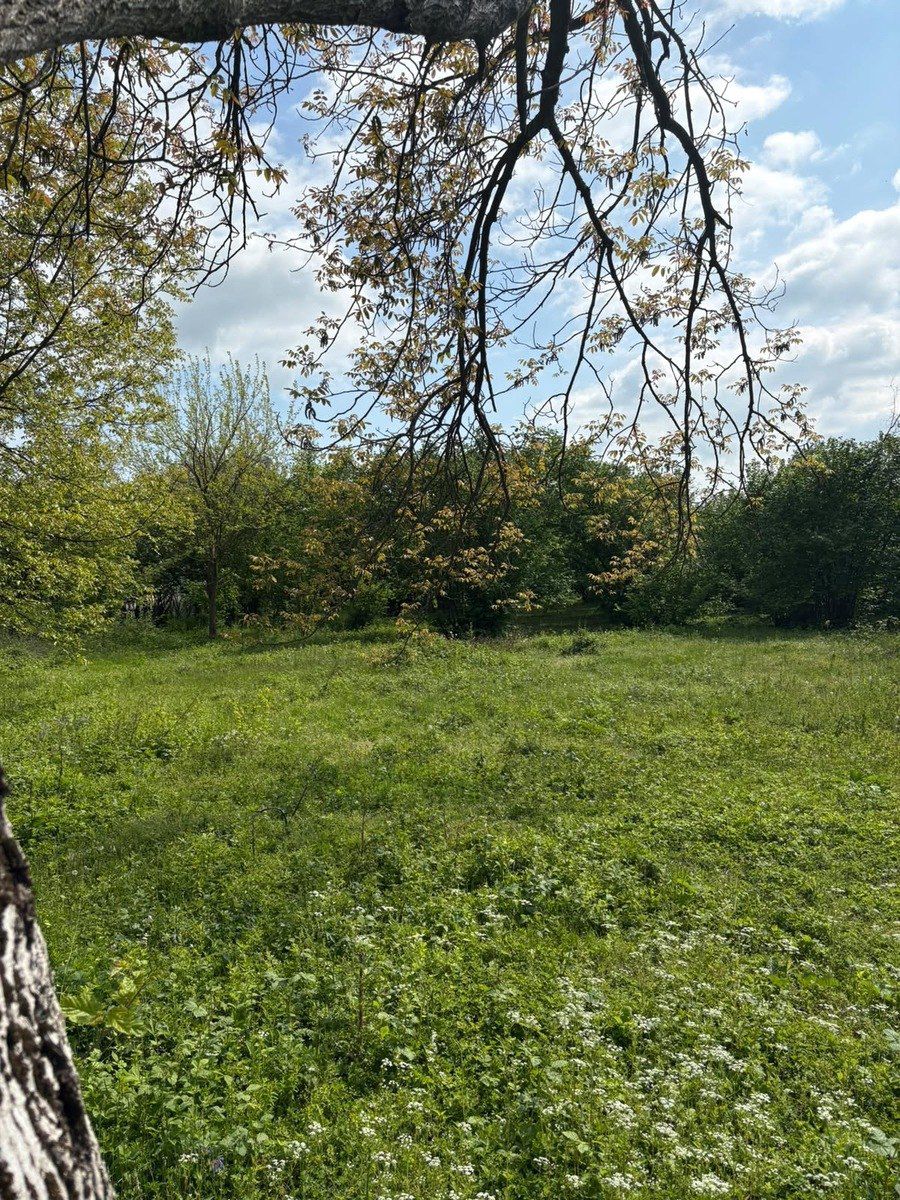 20 sot torpaq sahəsi, Oğuz r — Torpaq, Oğuz (3)