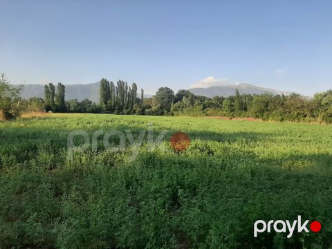 155 sot torpaq sahəsi, Ismayıllı r