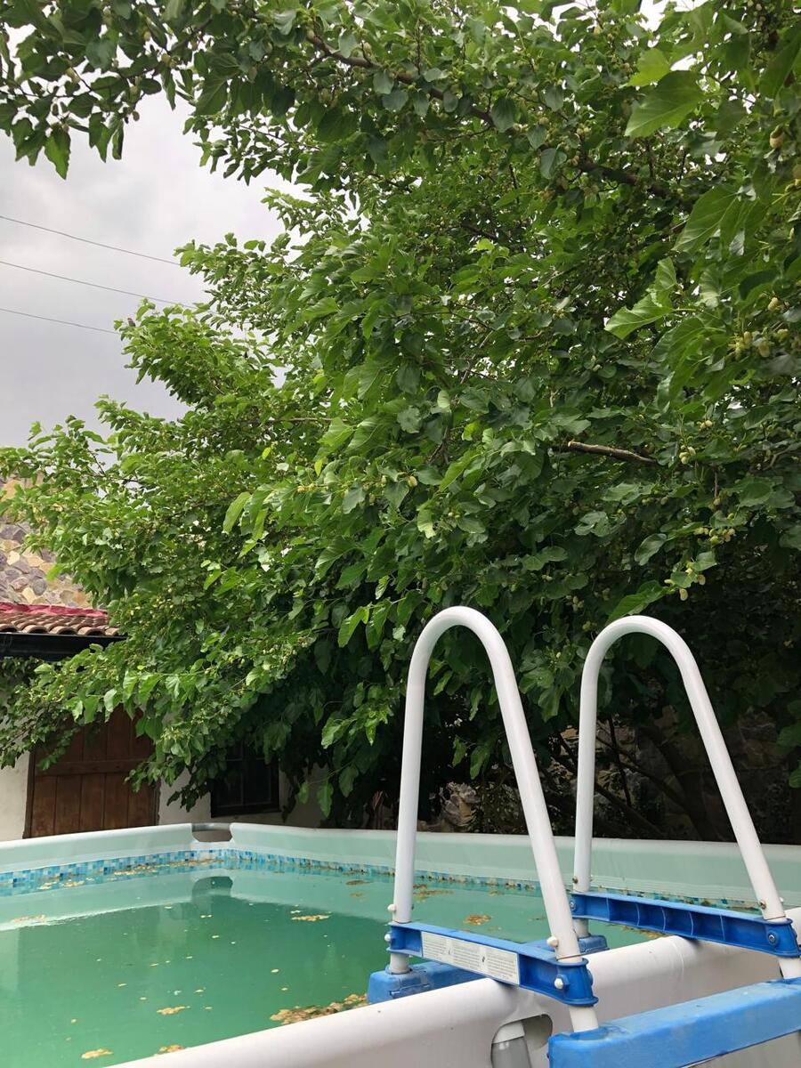 Satılır 6 otaqlı həyət evi/bağ evi 300 m² — Ev, villa, Bakı (4)