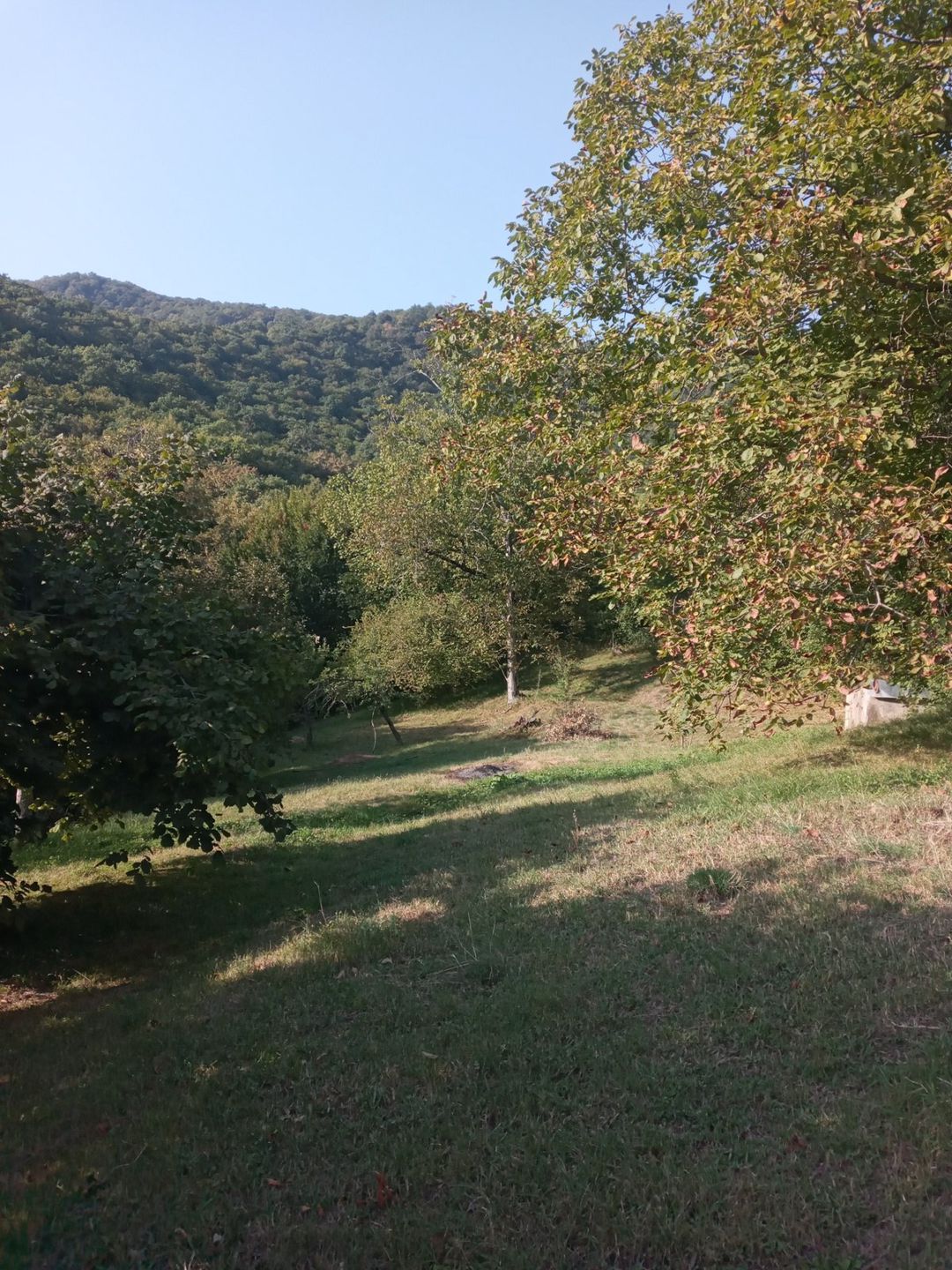 Bağ evi, Zaqatala r — Ev, villa, Zaqatala (11)