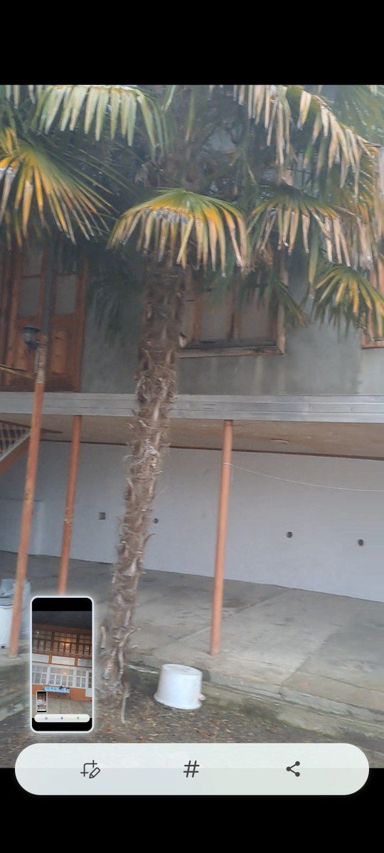 Həyət evi, Şəki ş — Ev, villa, Şəki (4)