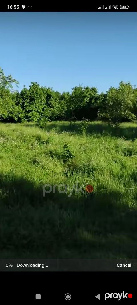 Salam torpaq Qəbələdə yerləşir işıq su internet var tikinti