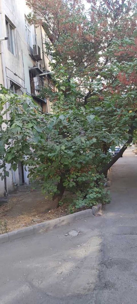 Satılır 2 otaqlı köhnə tikili 40 m² — Bakı