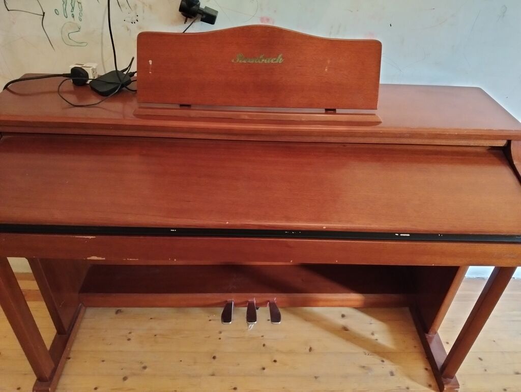 Steinbach rəqəmsal piano – klassik mebel korpusu ilə - Marka/model — Pianino və digər klaviş alətləri, Digah (8)