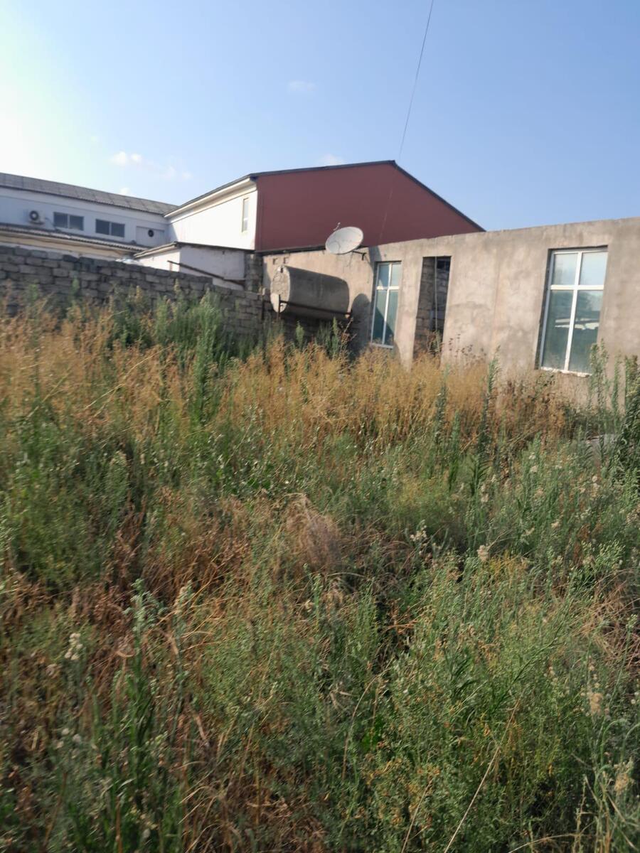 Satılır torpaq 17 sot — Torpaq, Bakı (12)