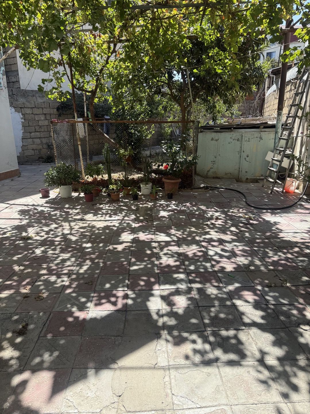 İcarəyə verilir 1 otaqlı həyət evi/bağ evi 30 m² — Ev, villa, Xırdalan (7)