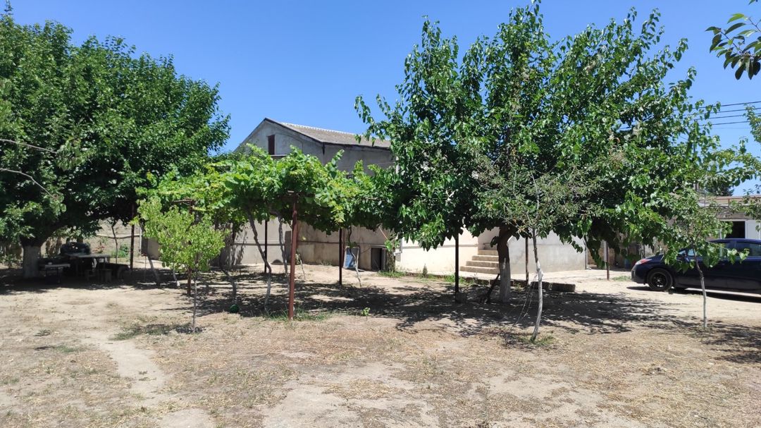 Satılır torpaq 9 sot — Torpaq, Bakı (3)