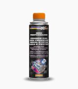 Common Rail Diesel Sistem Clean "PowerMaxx" — GST Company