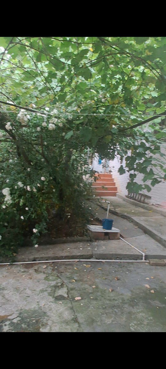 Həyət evi, Şəki r — Ev, villa, Şəki (10)