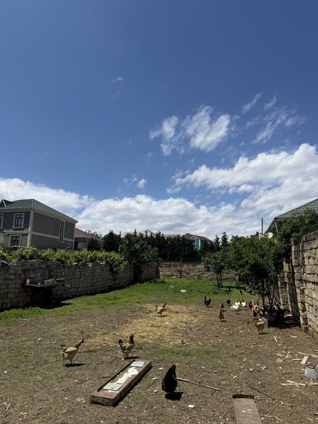 Satılır torpaq 3 sot — Torpaq, Bakı (3)