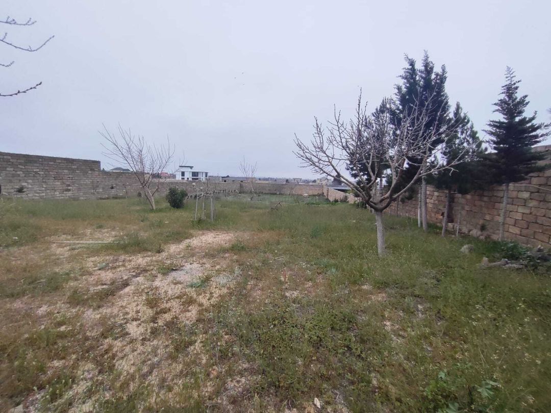 Satılır torpaq 24.5 sot — Torpaq, Bakı (5)