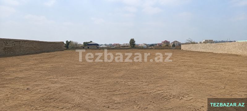 Nardaran bağları — Torpaq, Bakı (2)