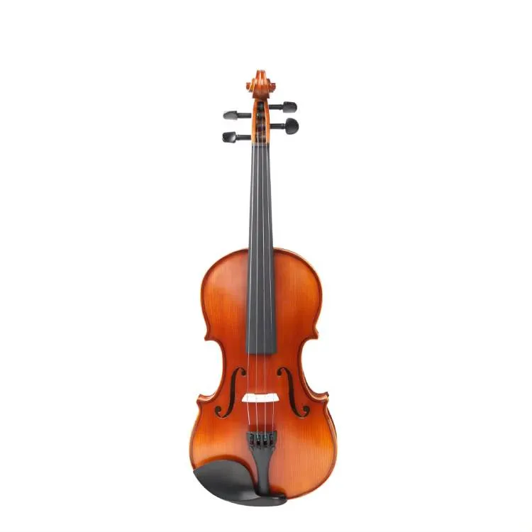 Akustik Skripka Amatı VG210H-4/4 — Bakı