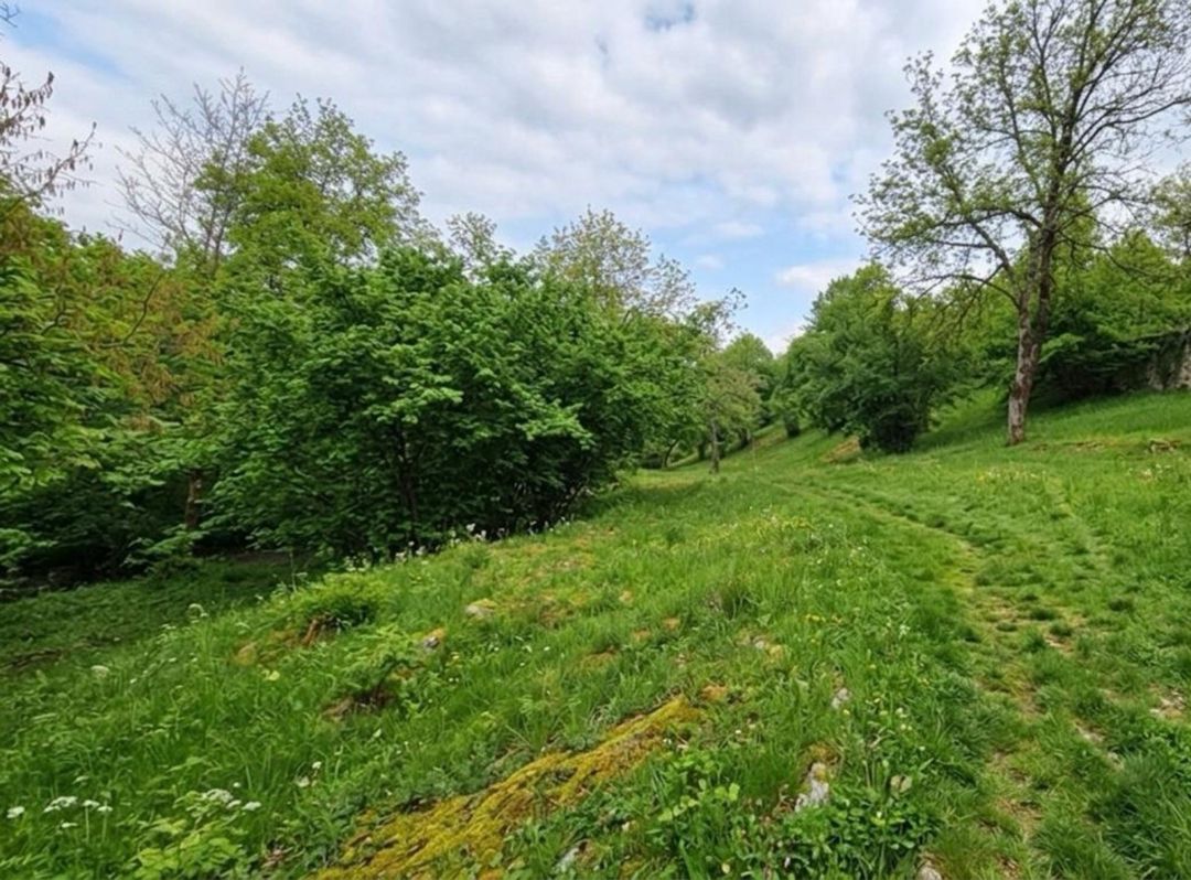 Satılır torpaq 22 sot — Torpaq, İsmayıllı (4)