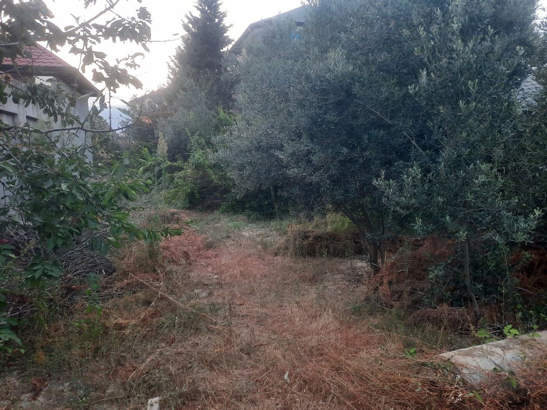 6 sot torpaq sahəsi, Görədil qəs — Torpaq, Bakı (2)