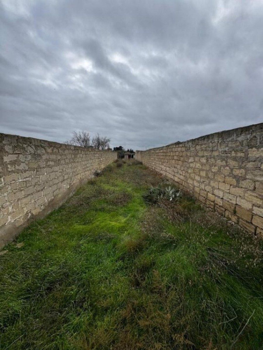 Satılır torpaq 32 sot — Torpaq, Bakı (5)