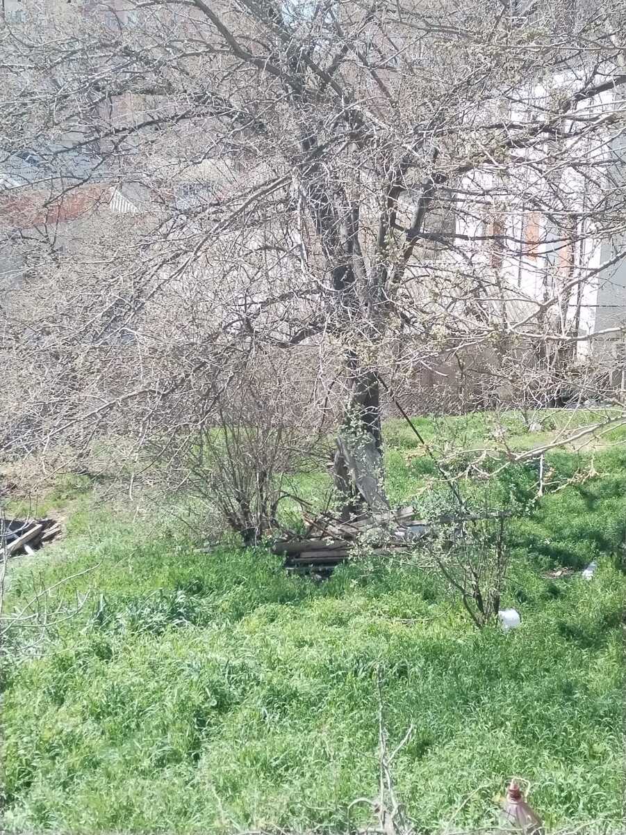 Satılır torpaq 10 sot — Torpaq, Bakı (3)