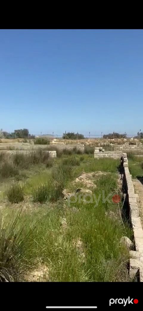 4 sot torpaq sahəsi, 4