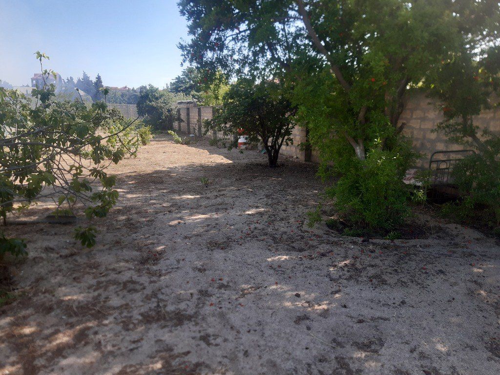 Satılır torpaq 25 sot — Torpaq, Bakı (2)