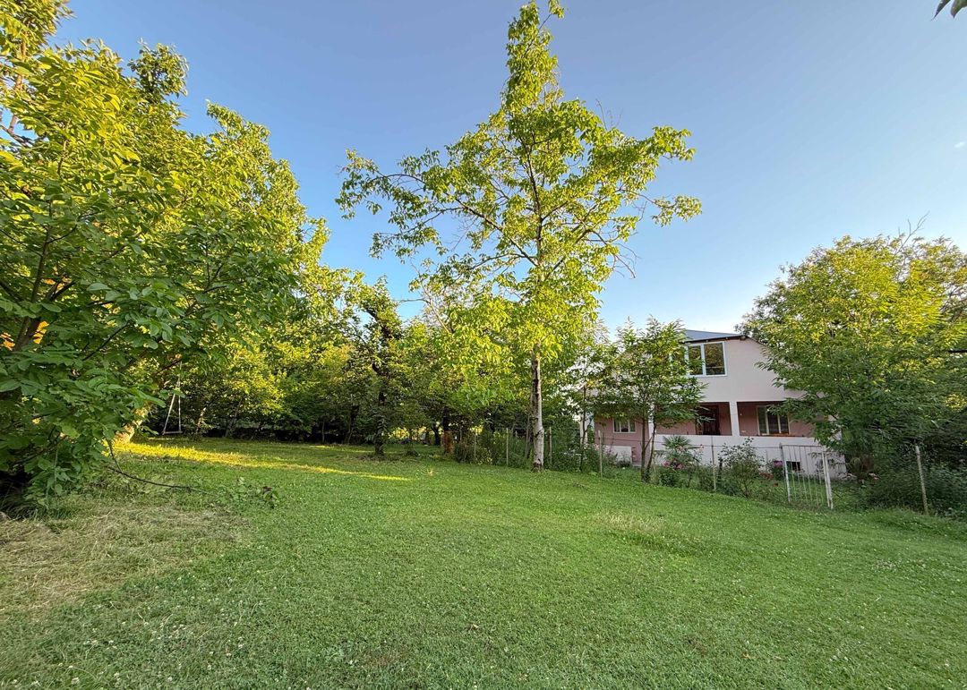Bağ evi kirayə verilir, Zaqatala ş — Ev, villa, Zaqatala (4)