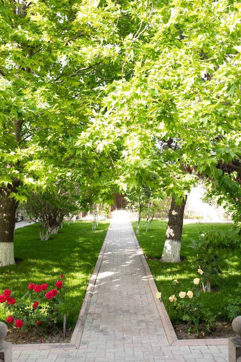 Satılır 6 otaqlı həyət evi/bağ evi 450 m² — Ev, villa, Bakı (6)