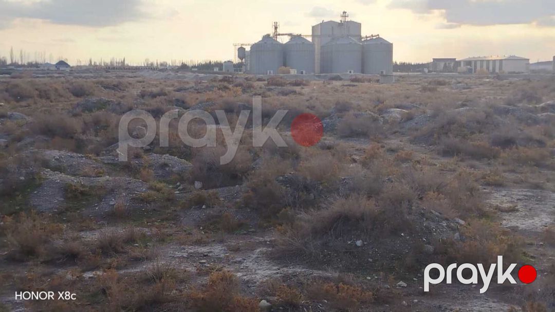 Satılır torpaq 5325 sot — Torpaq, Ağsu (7)